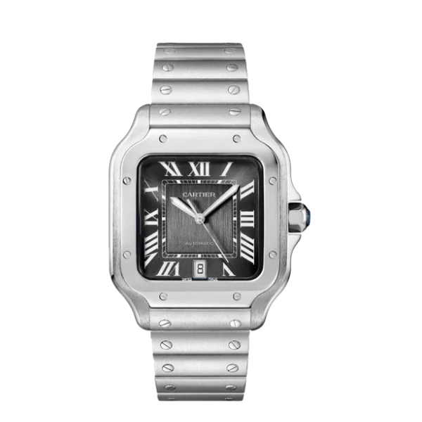 Cartier Santos WSSA0037 Black Background